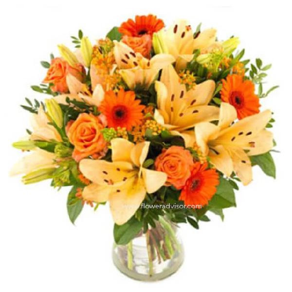 Lily Delight product image