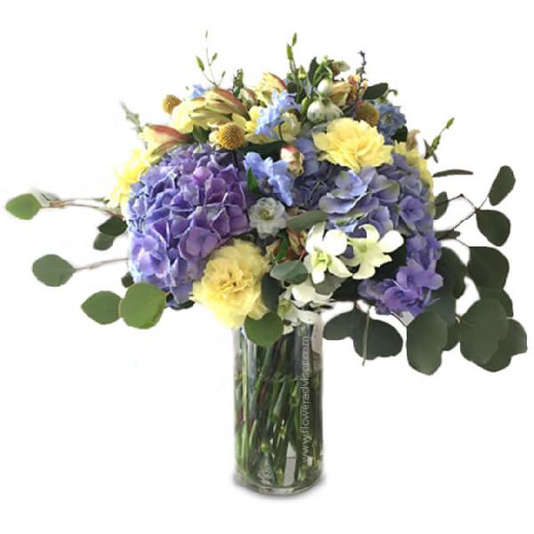 Enchanted Hydrangea product image