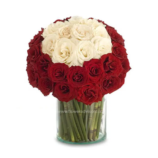 Mixed Roses in a Vase - Snow Belle product image