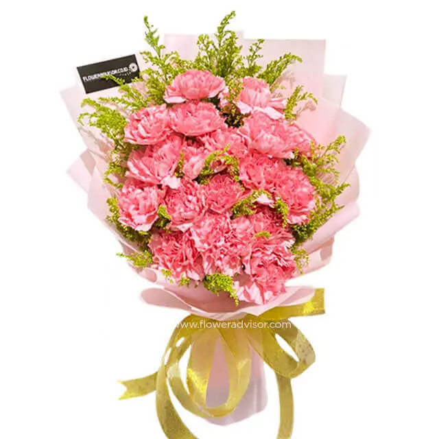 Medium 19 Stalks Carnations Bouquet - Happiness Forever product image