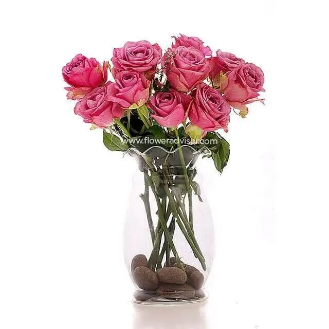 12 Pink Roses Vase Arrangement - 12 Minutes product image