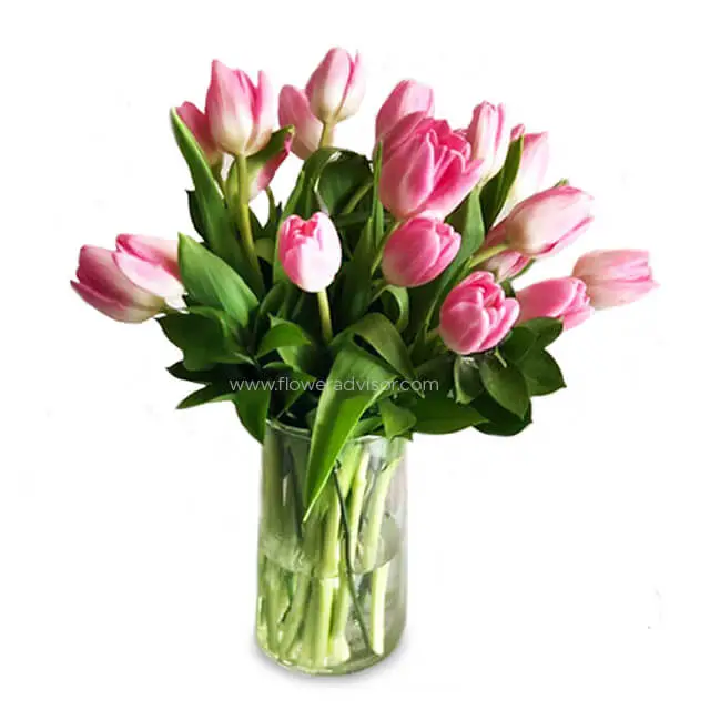 20 Pink Tulips Vase Arrangement - Tulips Scent product image