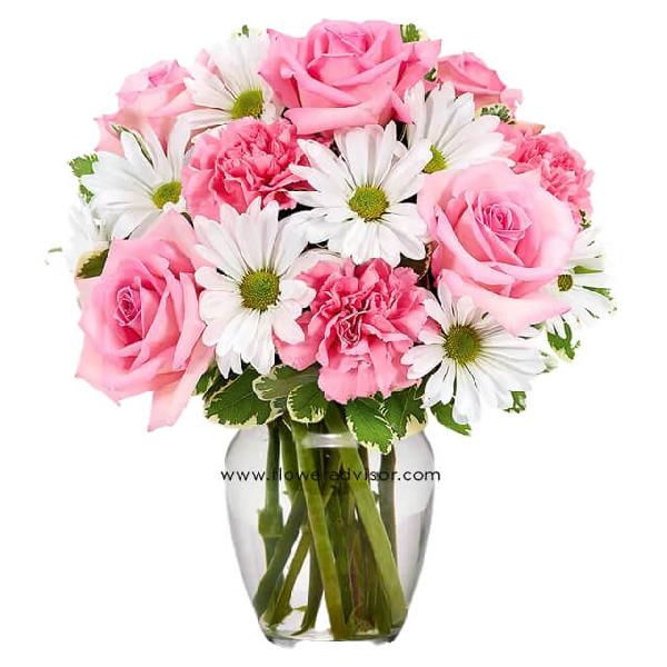 Daisy & Rose Delight product image