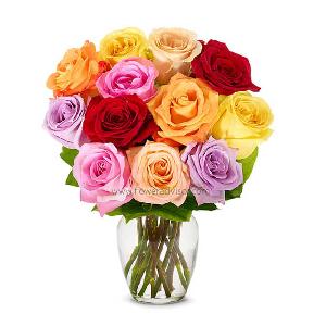 A Dozen Rainbow Roses product image