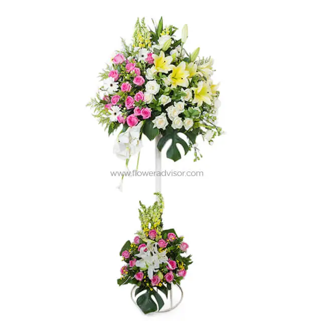 Classical Love product image