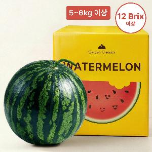 Guaranteed Sweetness! Premium Honey Watermelon from Top-Growing Region 5~6kg or more (12 Brix or higher) product image