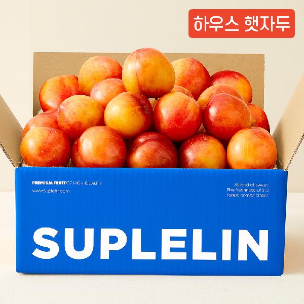 甘酸っぱいハウス新鮮すもも 1.2kg item image