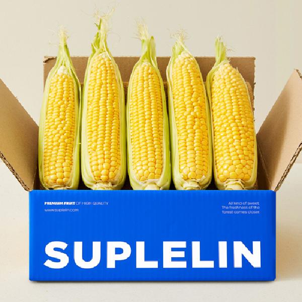Sweet raw-eating supersweet corn 5pcs (14cm or longer/Premium Grade) product image