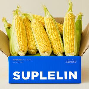 Sweet raw-eating supersweet corn 10pcs (14cm or longer/Premium Grade) product image