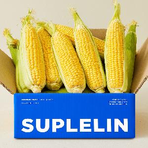 Sweet raw-eating supersweet corn 20pcs (14cm or longer/Premium Grade) product image