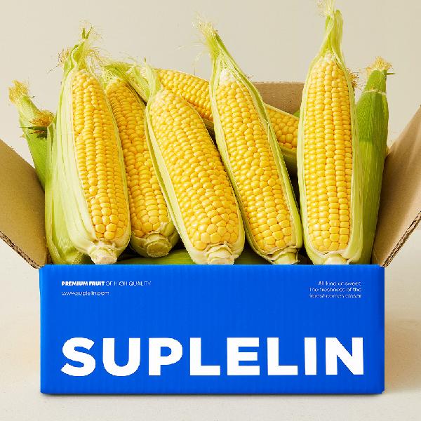 Sweet raw-eating supersweet corn 20pcs (14cm or longer/Premium Grade) product image