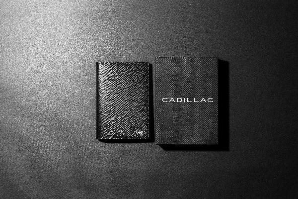 Passport Case product image