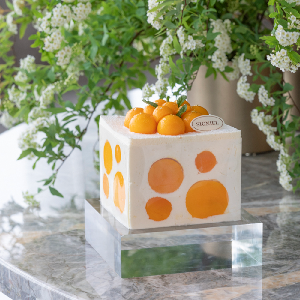 [SIGNIEL SEOUL] SIGNIEL Seoul Premium Mango Cake_Pastry Salon product image