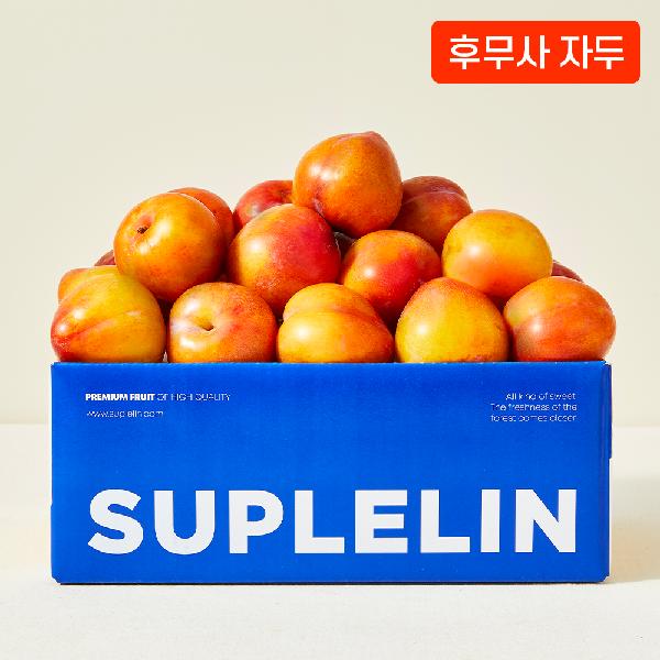 Sweet and Tangy, Luscious Summer Formosa Plums 1.6kg (12~18 Plums) product image