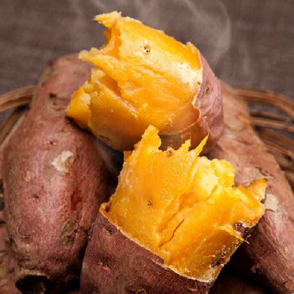 2026 Haenam Premium Pumpkin Sweet Potatoes Medium 10kg product image