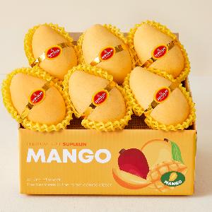 Soft & Fragrant Vietnamese Gold Mango 2kg+ (Royal Grade/4~6 pcs) product image