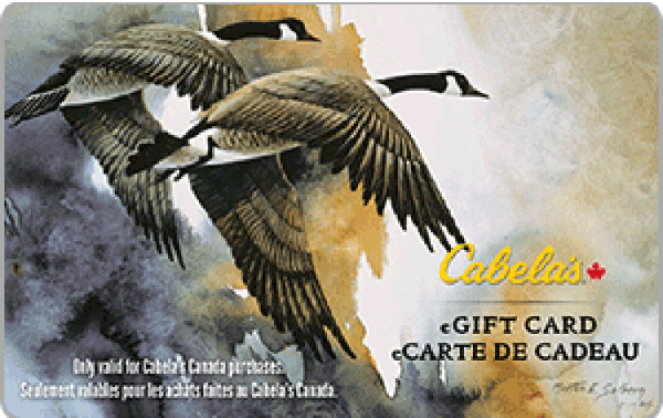 Cabela's CA$300 Gift Card product image