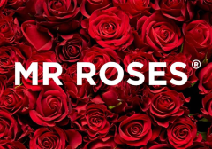 Mr Roses thumbnail image