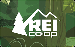 REI US$100 Gift Card product image