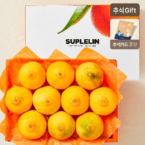 Jeju High-Brix Golden Hyang Fruit Gift Set 2.5kg (9-13 pcs) product image