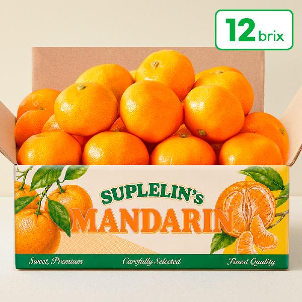 High-Sugar Jeju Direct Rain-Shelter Tangerines 1.5kg (Royal Grade / 12 Brix+) product image