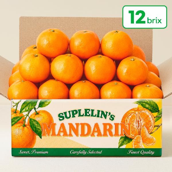 High-Sugar Jeju Direct Rain-Shelter Tangerines 2.5kg (Royal Grade / 12 Brix+) product image