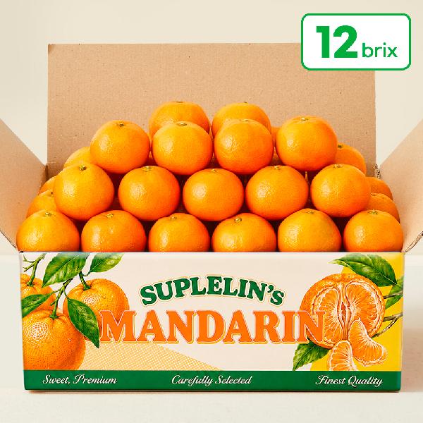 High-Sugar Jeju Direct Rain-Shelter Tangerines 4.5kg (Royal Grade / 12 Brix+) product image