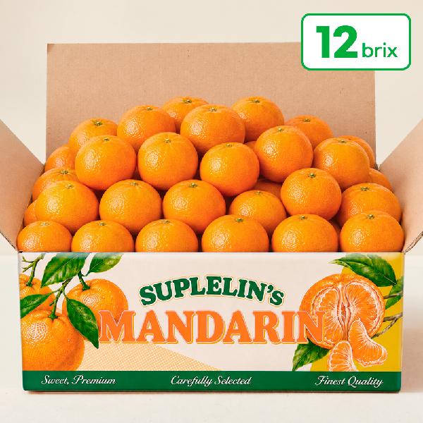 High-Sugar Jeju Direct Rain-Shelter Tangerines 9kg (Royal Grade / 12 Brix+) product image