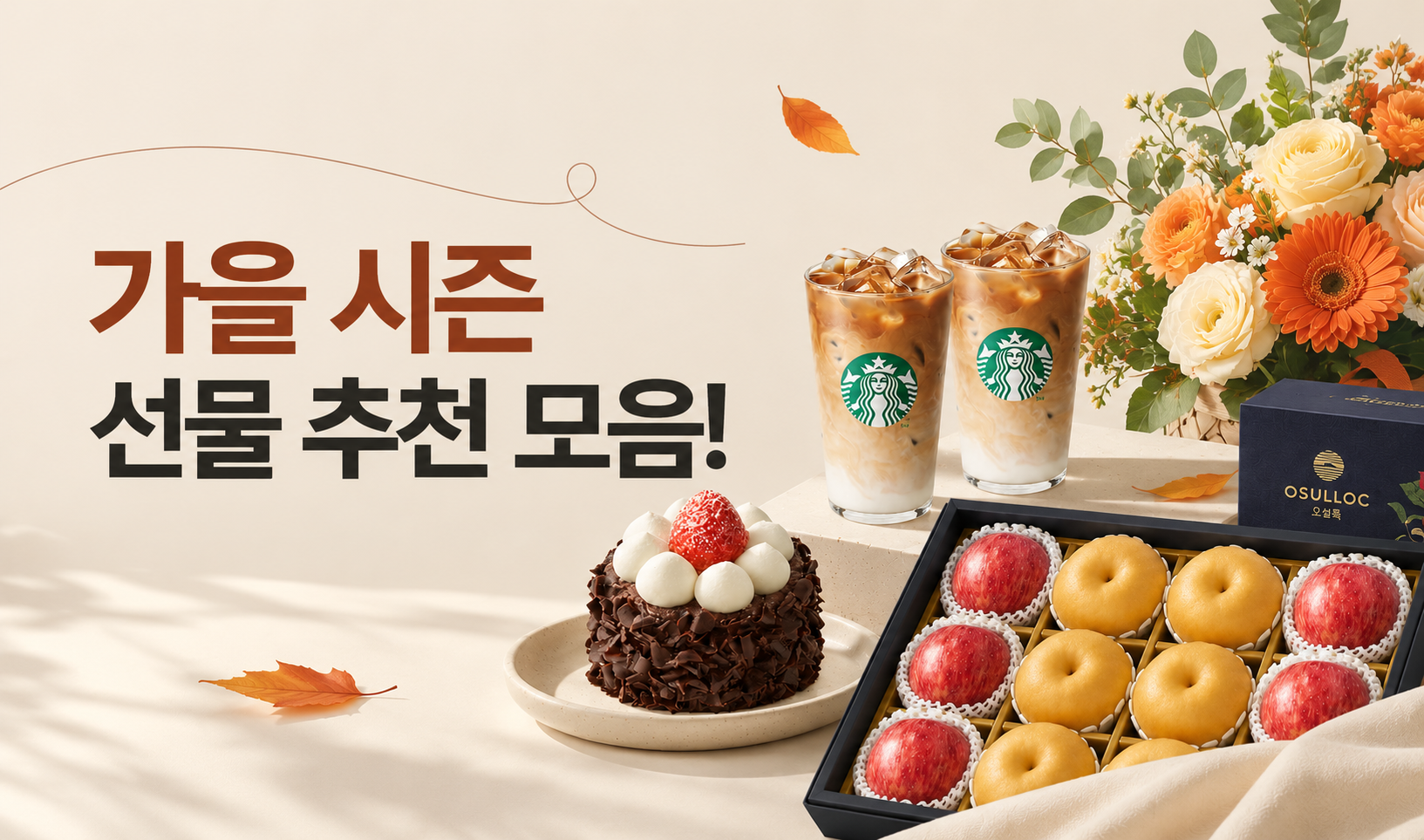 26년 가을 시즌 image