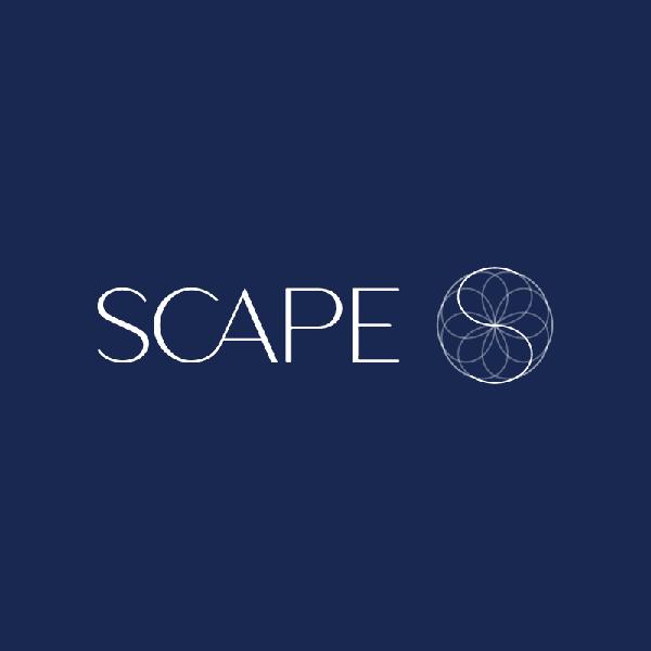 Scape MX$500 Gift Card item image