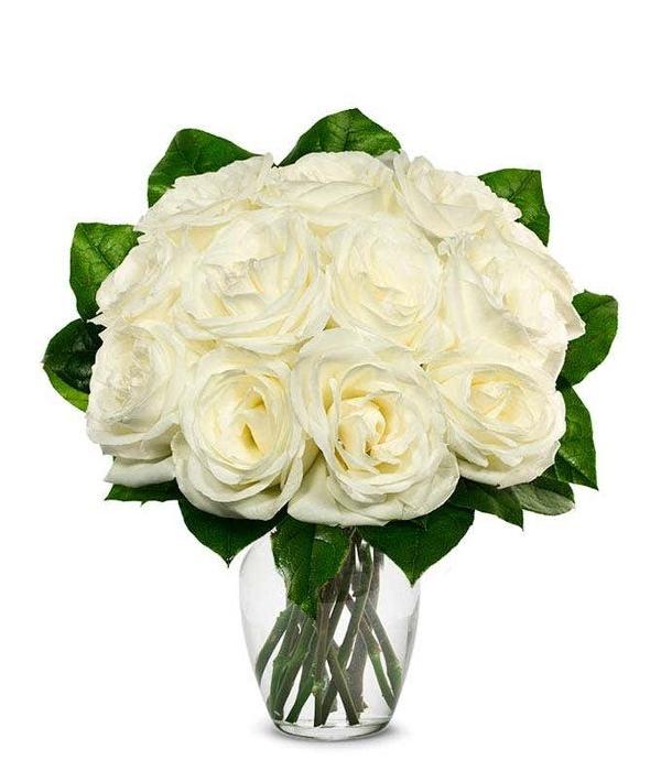 One Dozen White Roses product image