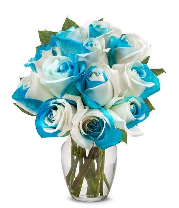 One Dozen Sea Foam Roses product image