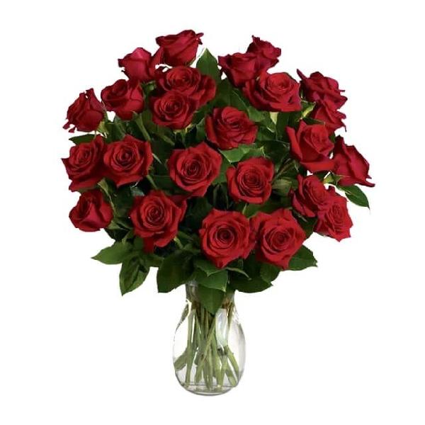 Classic Romance Red Roses - Two Dozen product image