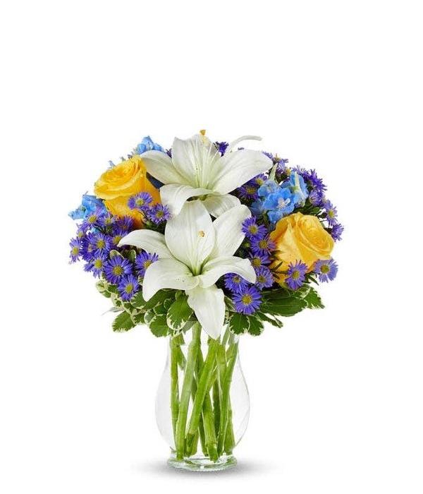 Blue Skies & Sunshine product image