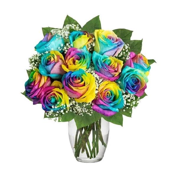 One Dozen Wild Rainbow Roses product image