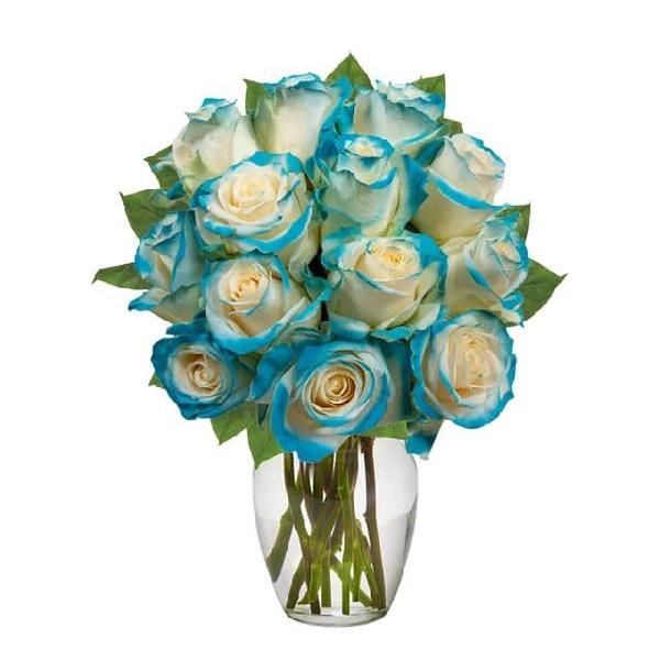 One Dozen Aquamarine Roses product image