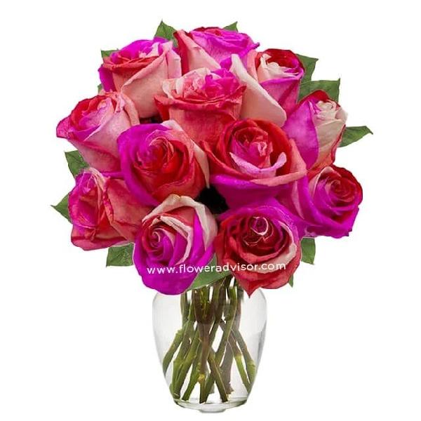 One Dozen Wild Pink Roses product image