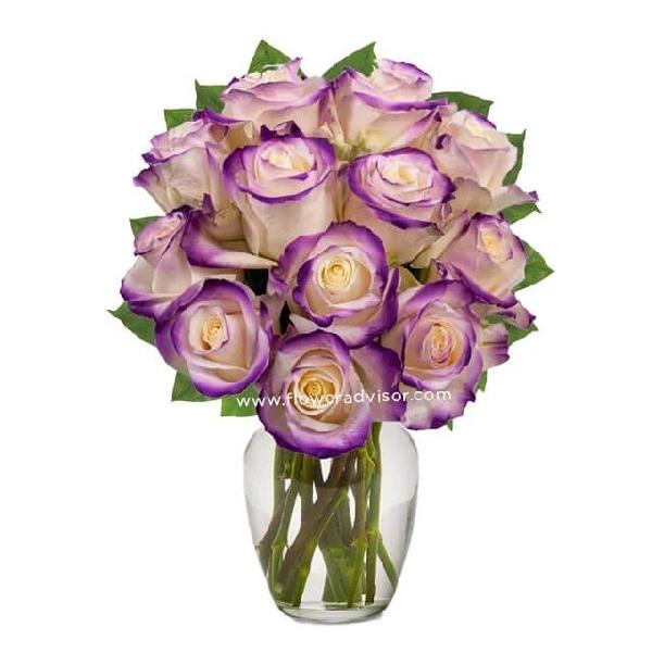 One Dozen Royal Roses product image