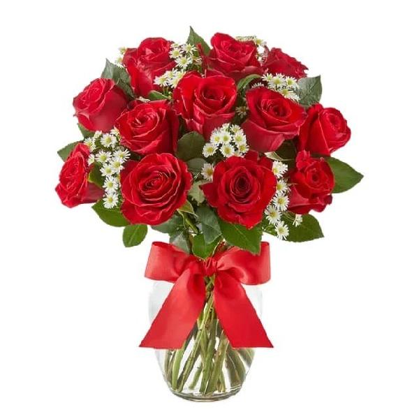One Dozen Roses product image