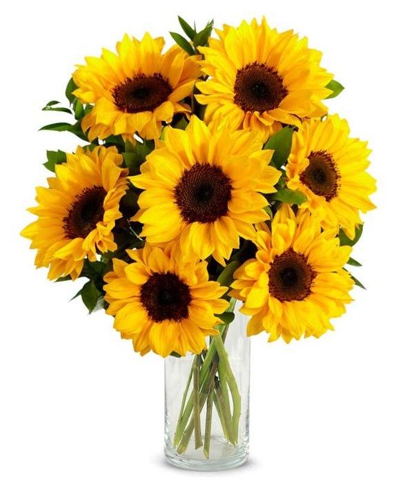 Stunning Sunflowers product image