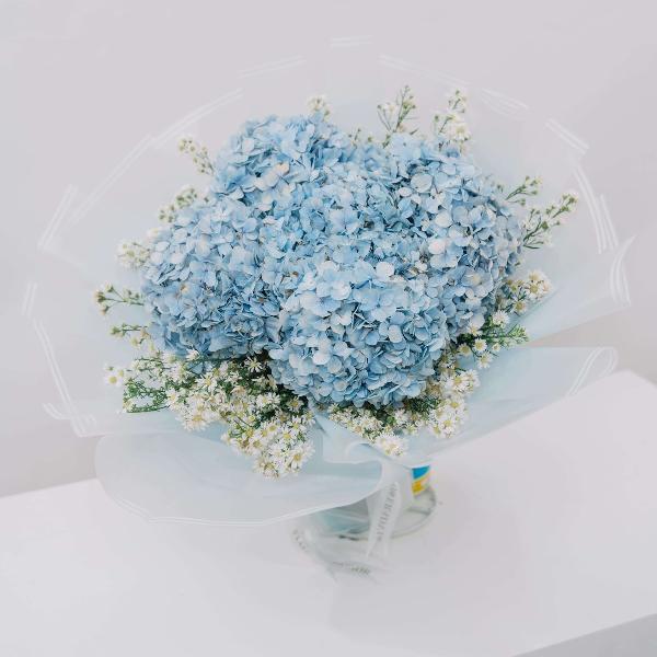 Hydrangea Azure Bloom product image