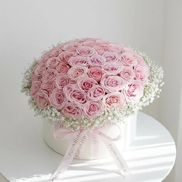 Daydream Rose product image