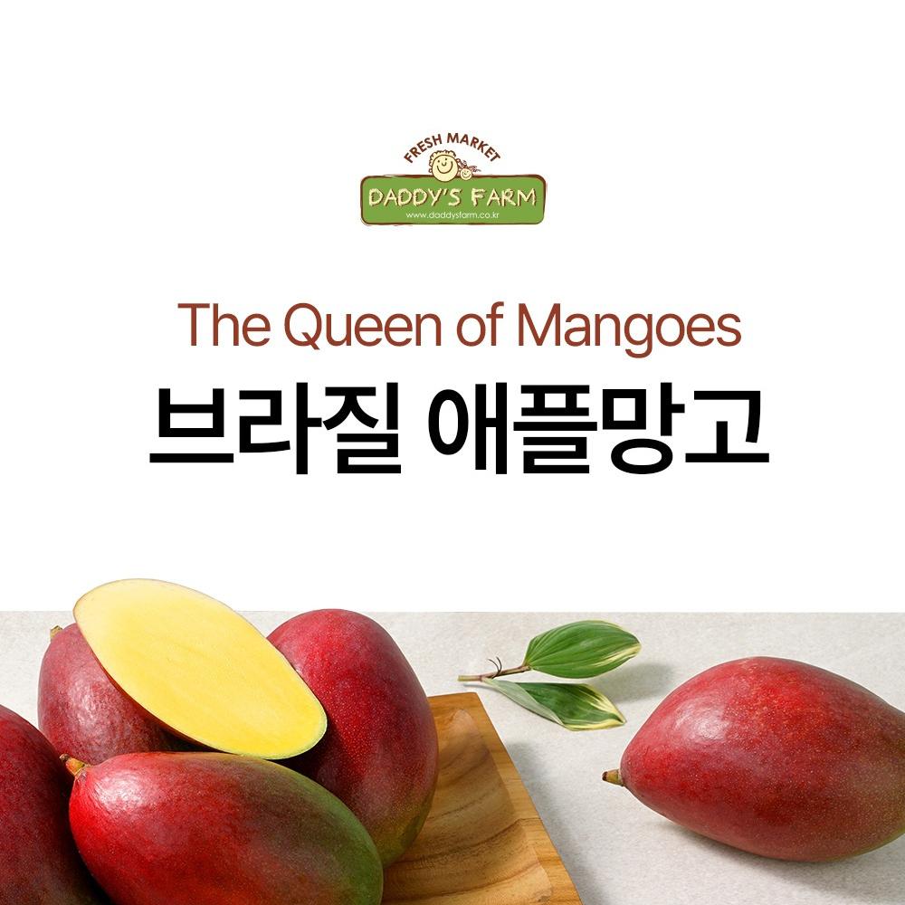 Apple Mango Gift Set approx. 1.7kg [4 pcs] In South Korea Daddy's