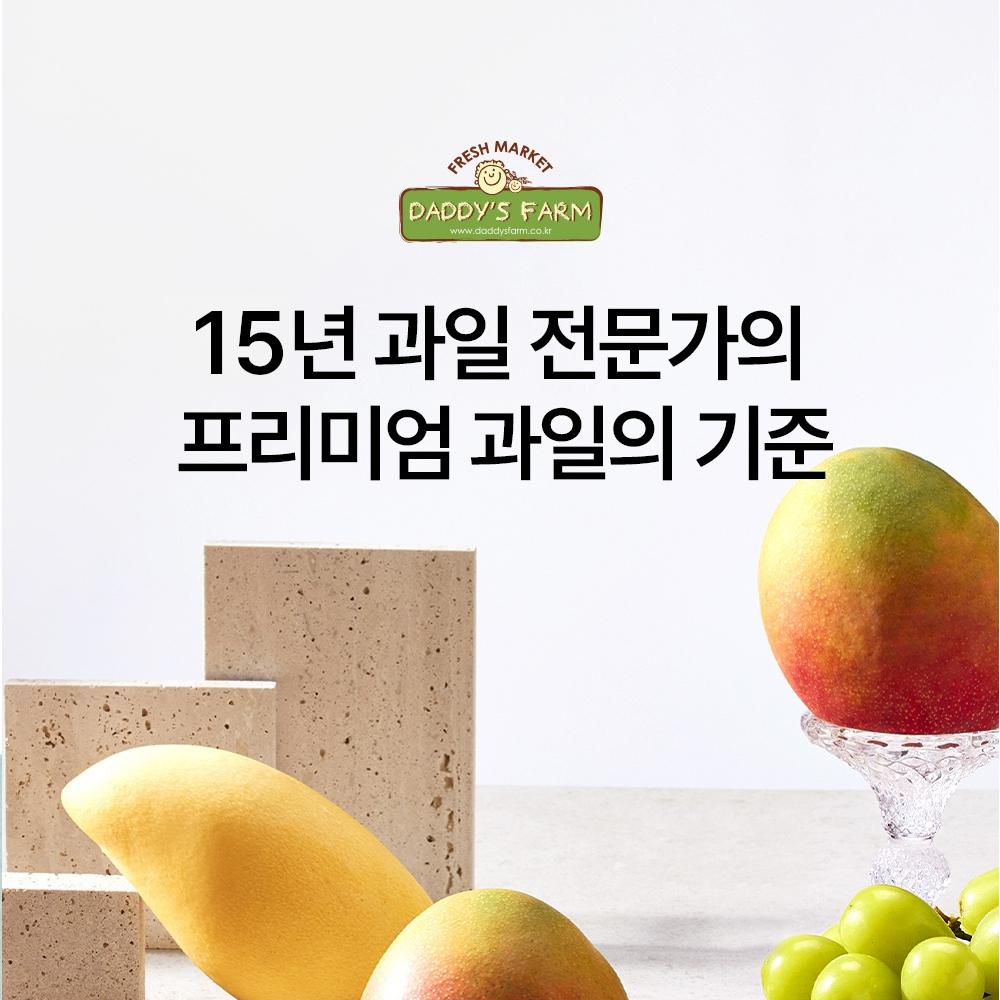 Apple Mango Gift Set approx. 1.7kg [4 pcs] In South Korea Daddy's