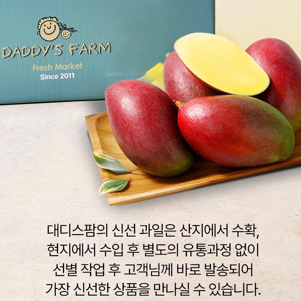 Apple Mango Gift Set approx. 1.7kg [4 pcs] In South Korea Daddy's