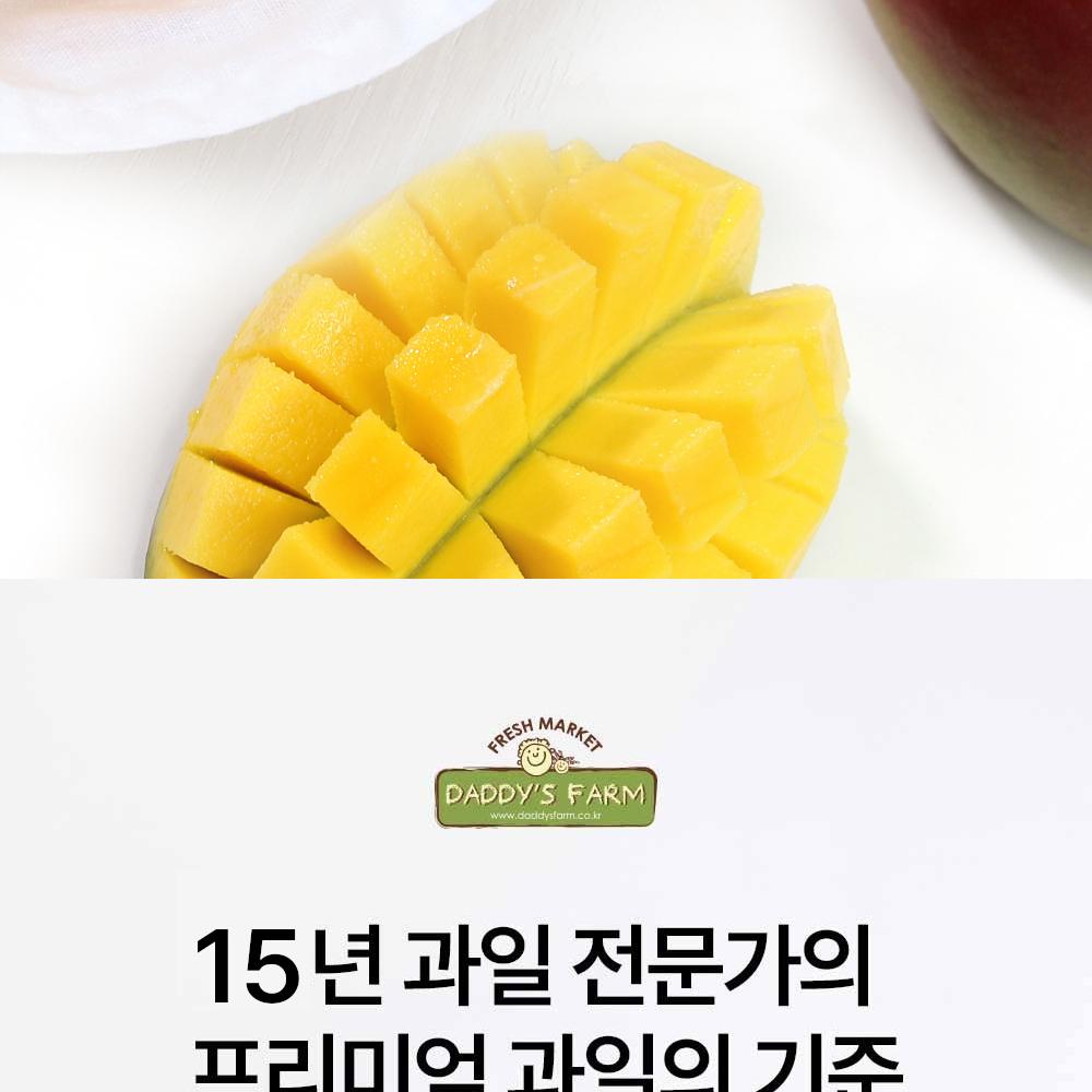 韓国ダディーズファーム新鮮マンゴー ミックス ギフトセット 約1.7kg