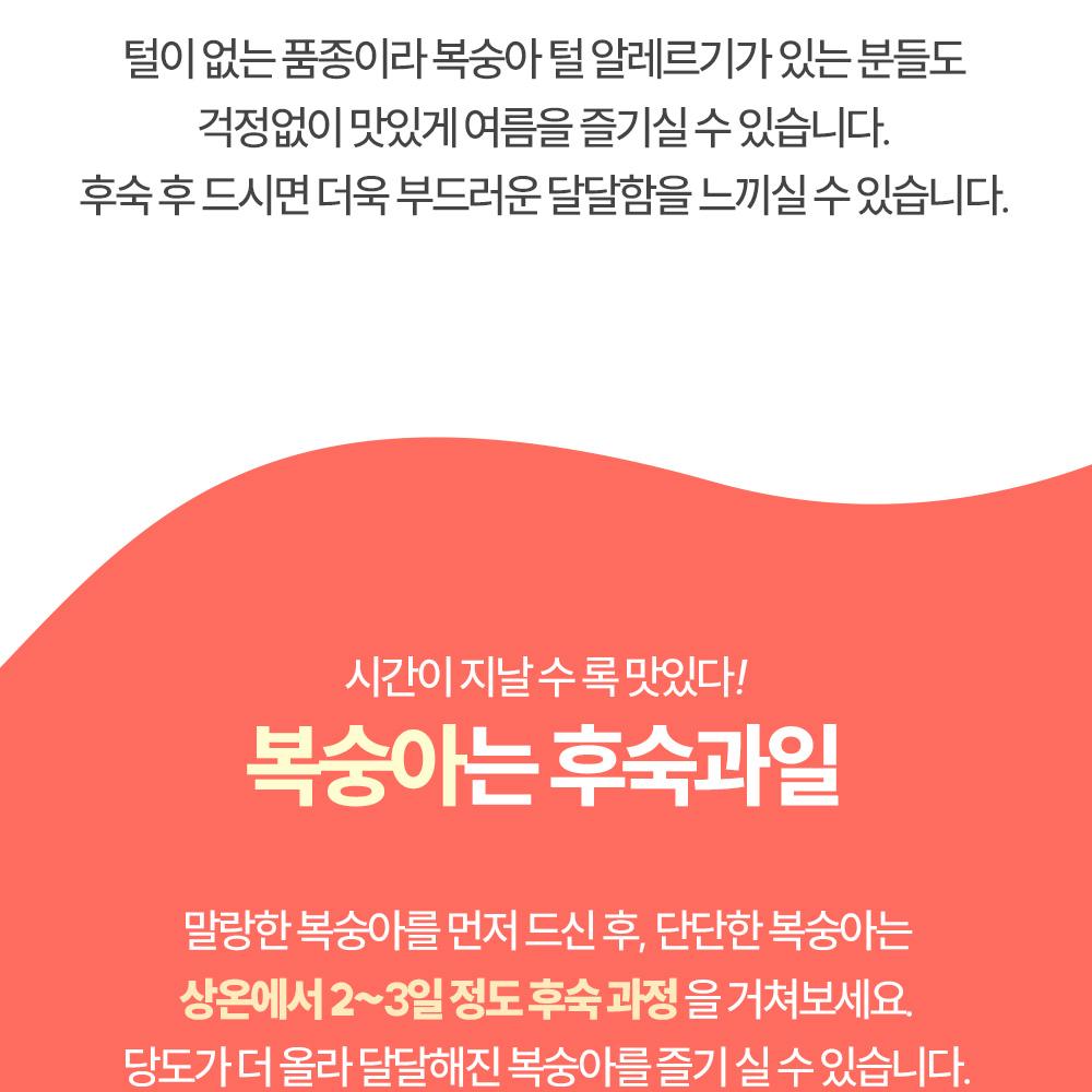 SuplelinSweet Nectarines 2kg Gift Set (1420pcs) In South Korea Fruit