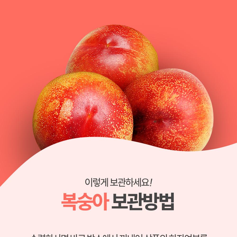 SuplelinSweet Nectarines 2kg Gift Set (1420pcs) In South Korea Fruit