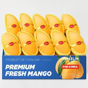 Premium sweet Thai gold mango, 4 kg (Royal grade / 8–14 pieces) item image