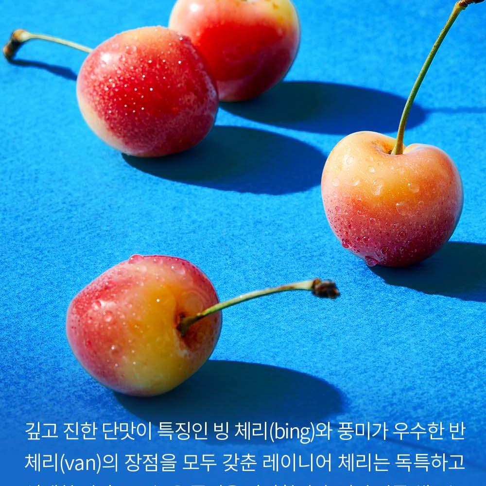 Cherry様　リクエスト商品　五点セット 韓国スプリン爽やか “HAVE A CHERRY DAY” チェリーギフトセット 650g